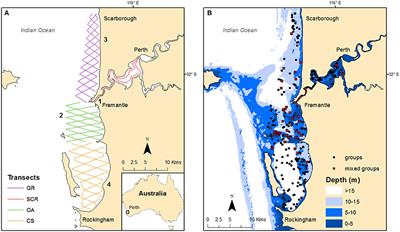 Identifying the Relevant Local Population for Environmental Impact Assessments of Mobile Marine Fauna